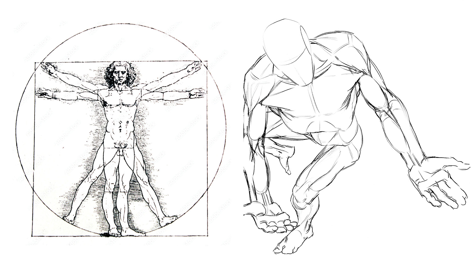 The definition of Man: philosophical, historical, and social perspectives