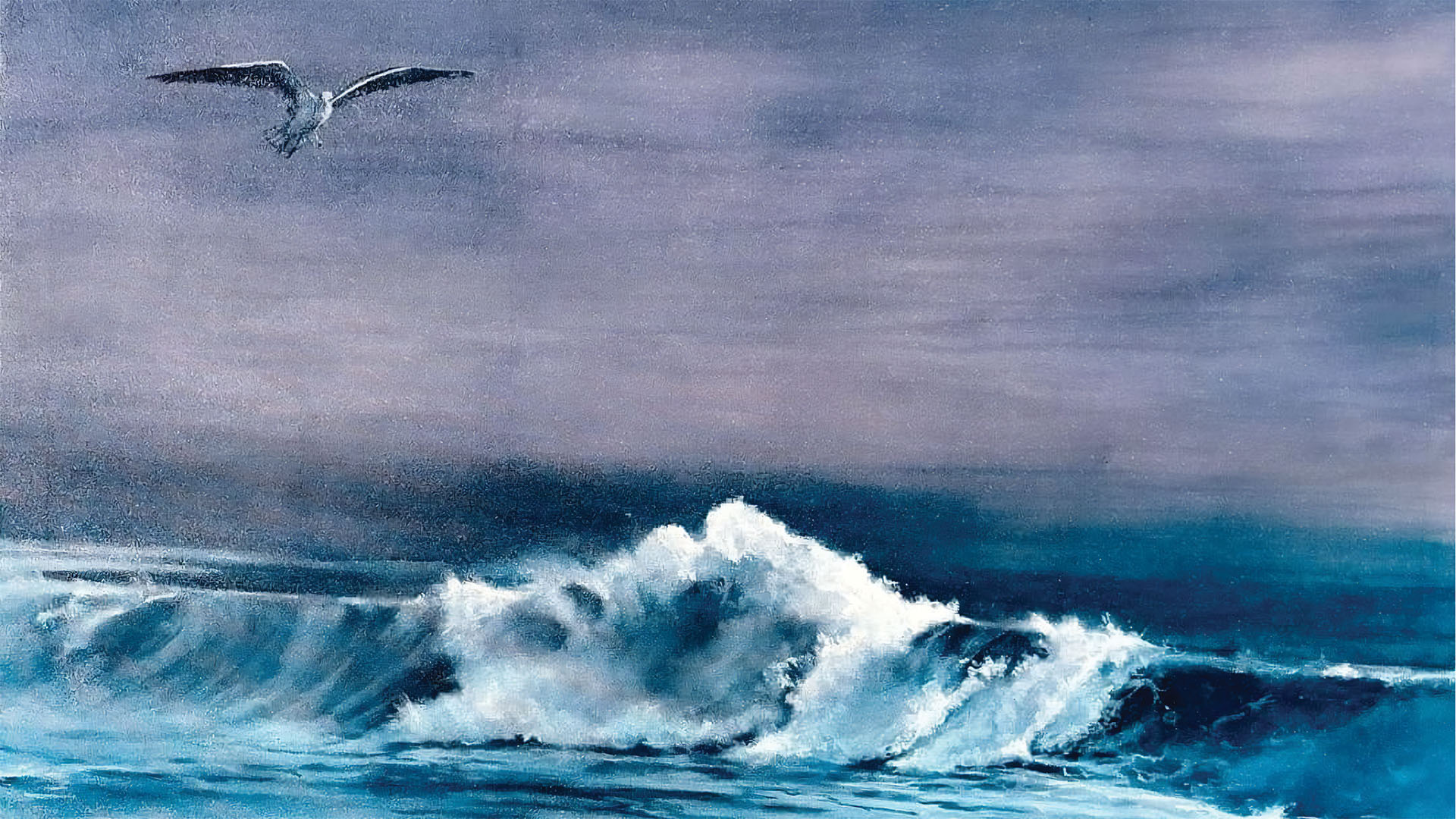 ¿En qué momento? Un viaje personal. Historias de un hombre común